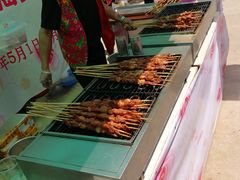 -海上花岛玫瑰园采摘