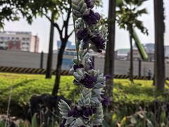 -南宁南湖公园