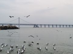 -星海广场