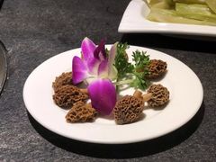 羊肚菌-大匠工房古船木艺术餐厅·猪肚鸡专门店(长白仙岛店)