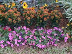 -人民公园(罗湖区)