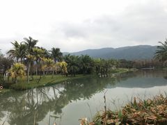 -瑞穗牧场