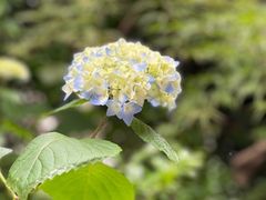 -润泽天·湘味家宴(岳麓山店)