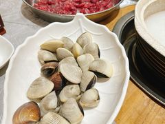 新鲜白贝-丰尔粥食·粥底火锅(大良总店)