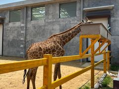 -西霞口神雕山野生动物世界