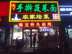 -秦君宝手擀菠菜面(金花路店)