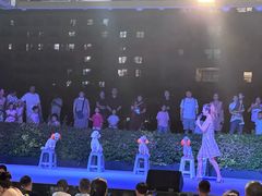 -渔家火锅·海鲜自助餐·演艺(亚龙湾天域酒店)