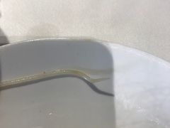 -顺丰国宴(工业博物馆店)