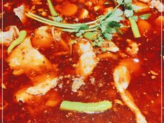 -小饕荟雅安贡椒鱼鲜馆(广福桥店)