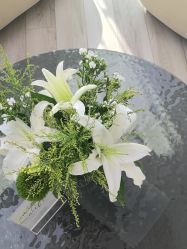 -HEYAN荷妍专业脱毛连锁机构