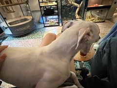 -成都梵高星空艺术馆(春熙路旗舰店)