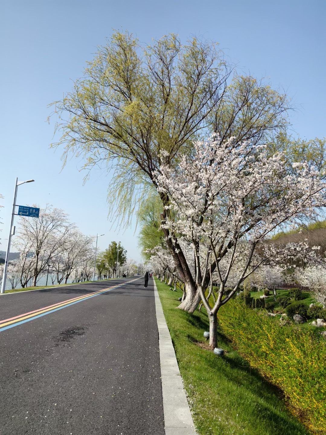 羊山湖公园环境真不错