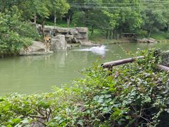 -宁波野生动物园