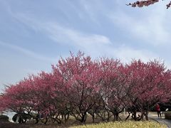 -白塘生态植物园