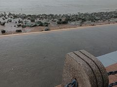 -深圳湾公园(南山区)