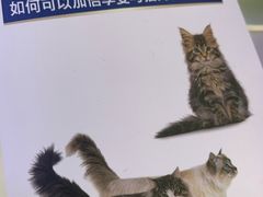 -宠颐生中康贝怡动物医院