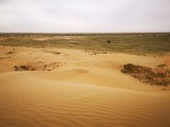 -亿利库布其七星湖沙漠生态旅游区