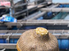 -海上驿站渔家菜馆