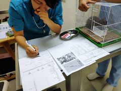 -爱妮康宠物医院·干细胞免疫细胞·肿瘤·心脏(张江店)