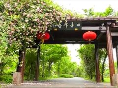 -鹅湖玫瑰文化园