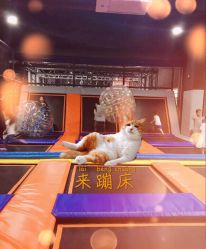 点击看大图 -蹦贝运动中心·蹦床·攀岩·闯关(龙岗店)