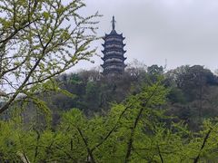 -焦山风景区