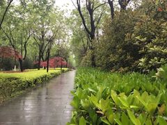 -唐城墙遗址公园
