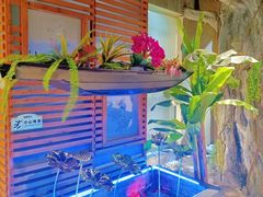 -花间别院(凤凰店)