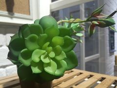 -艺彩阳光手工坊(大连恒隆广场店)