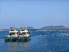 -枸杞岛