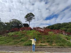 -广州市帽峰山景区