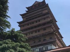 -华西村