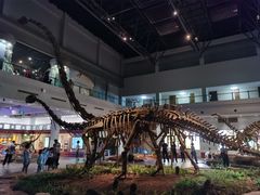 -自贡恐龙博物馆