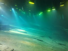 -白鹤梁水下博物馆