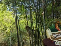 -长鹿旅游休博园