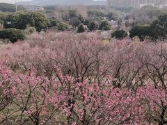 -无锡梅园公园