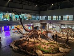 -自贡恐龙博物馆