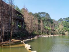 -广州市帽峰山景区