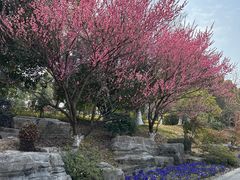 -善卷洞风景区