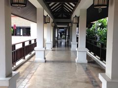 -清迈菩提塞雷纳