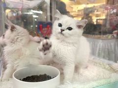 -鹏欣水游城