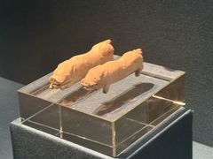 -亳州博物馆