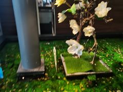 -上海可达汽车销售服务有限公司