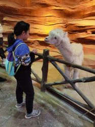 -酷嗒动物文化乐园(cutezoo西溪乐天城店)