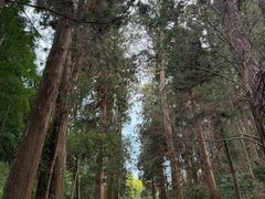 -瑞凤殿(Grave of Date Masamune)