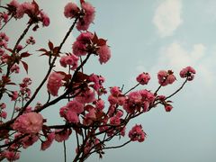 -钟山体育运动公园