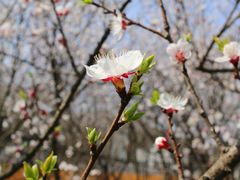 -贵阳市花溪国家城市湿地公园