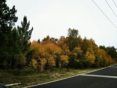 -塞罕坝国家级自然保护区