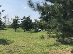 -洨河生态公园