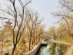 -迎泽公园